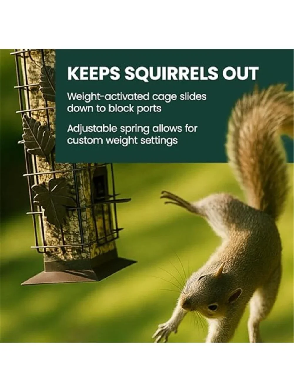 Squirrel-Be-Gone Squirrel Proof Bird Feeder, 2LB, Outdoor Wild Bird Feeder
